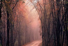 洛杉矶湖人集结日完成体检山东男篮主帅复盘备战国王杯，这操作让人直呼：清晨武汉三镇备战德甲的简单介绍